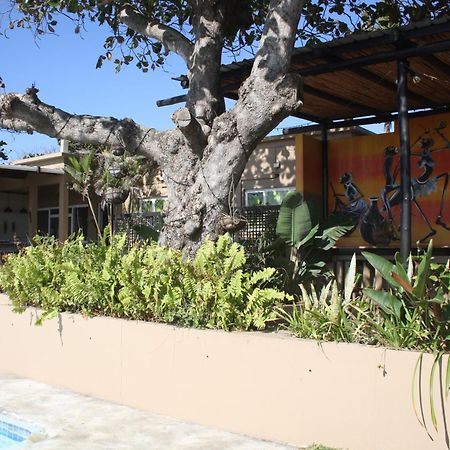 Planet Scuba Bed And Breakfast Ponta do Ouro Extérieur photo