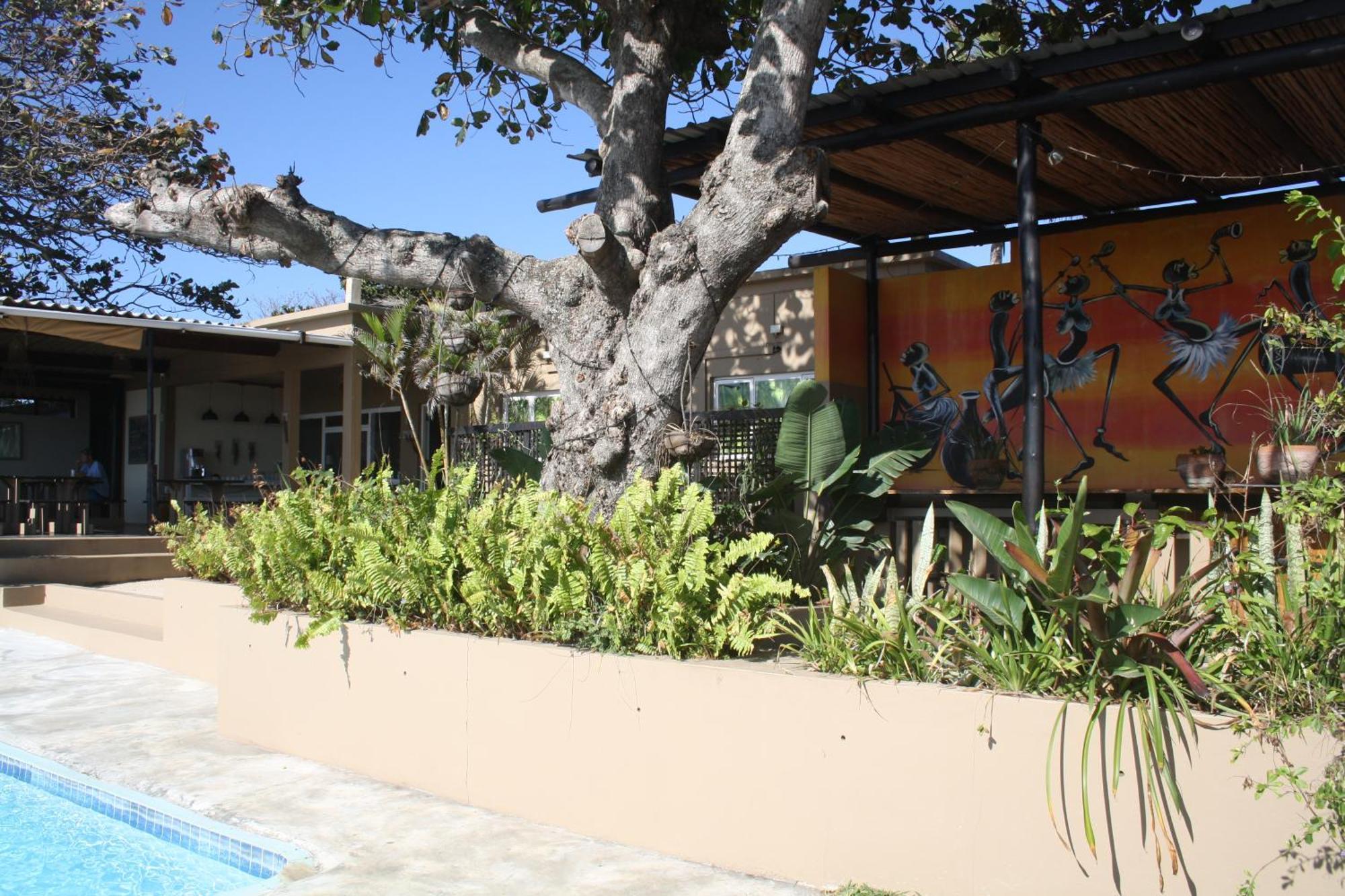 Planet Scuba Bed And Breakfast Ponta do Ouro Extérieur photo
